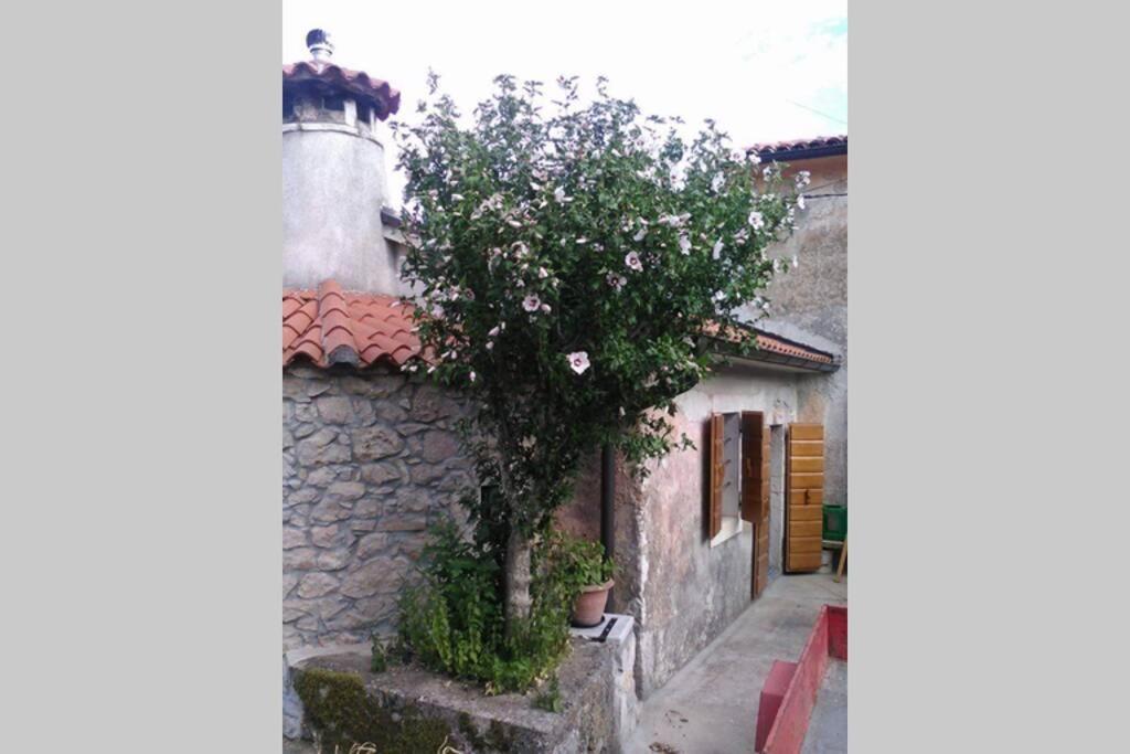 Vacation Home Marinici Mošćenička Draga Exterior foto